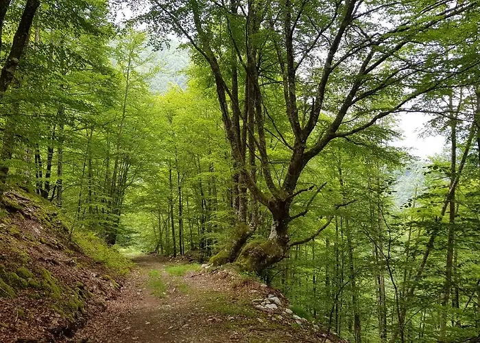 D'hotes Les Marmottes *