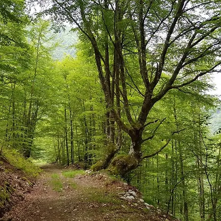 D'hôtes Les Marmottes *