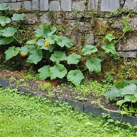 D'hôtes Les Marmottes *
