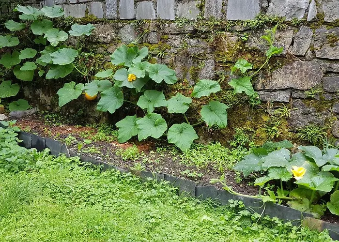 D'hotes Les Marmottes *